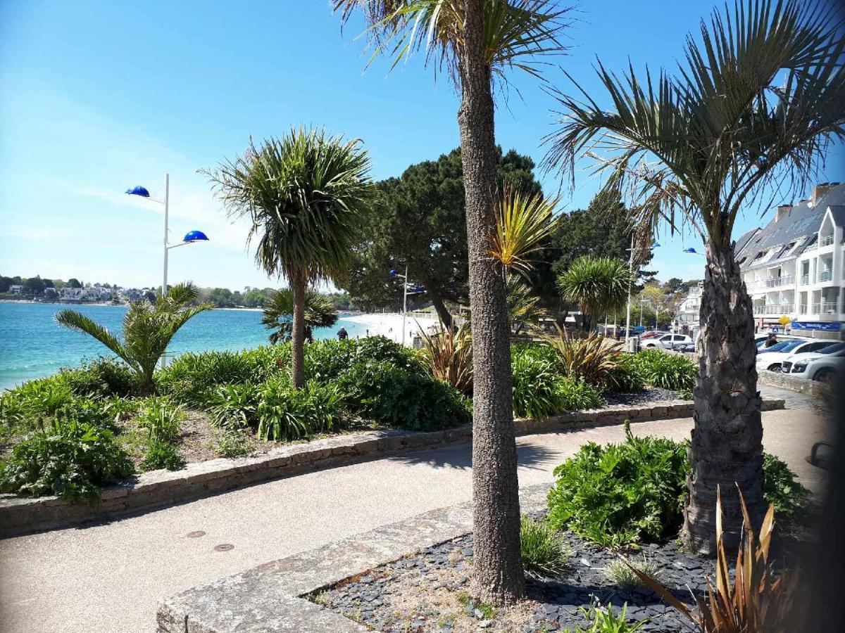 Camping De La Plage Benodet - 400 Metres De La Plage Eksteriør billede